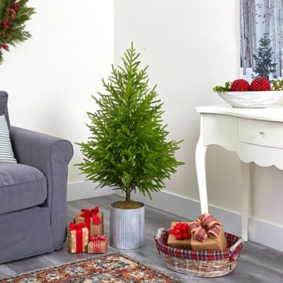 Image showing  49 in. Norfolk Island Pine Natural Look Artificial Tree
