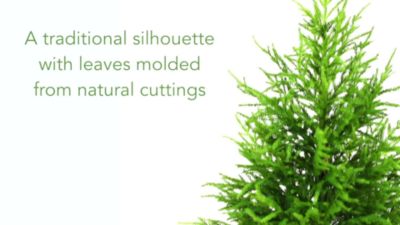 Image showing  49 in. Norfolk Island Pine Natural Look Artificial Tree