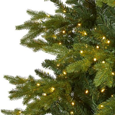 Image showing  10 ft. Belgium Fir Natural Look Artificial Christmas Tree, 1,050 Clear LED Lights