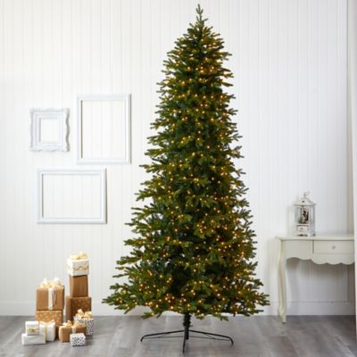 Image showing  10 ft. Belgium Fir Natural Look Artificial Christmas Tree, 1,050 Clear LED Lights