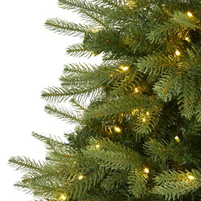 Image showing  5 ft. Vancouver Fir Natural Look Artificial Christmas Tree, 350 Clear LED Lights and 1,054 Bendable Branches