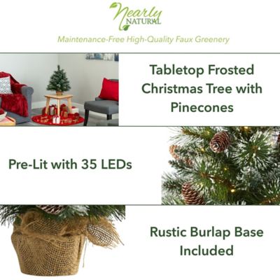 Image showing  2 ft. Pre-Lit Frosted Pine Artificial Christmas Tree with 35 Clear LED Lights Pine Cones and Burlap Base
