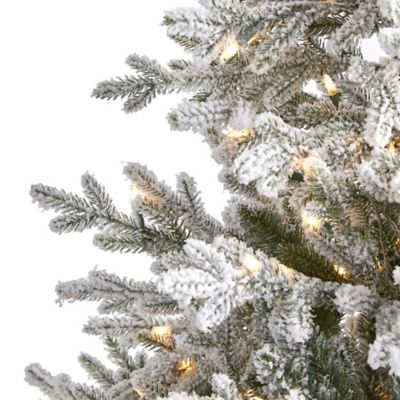 Image showing  6 ft. Flocked Fraser Fir Artificial Christmas Tree, 500 Warm White Lights and 236 Bendable Branches