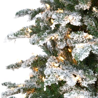 Image showing  8 ft. Flocked North Carolina Fir Artificial Christmas Tree with 650 Warm White Lights & 2593 Bendable Branches