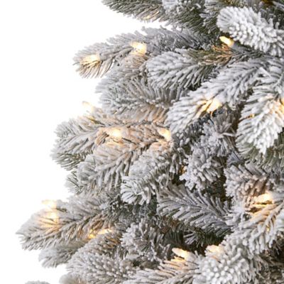 Image showing  6 ft. Flocked South Carolina Spruce Artificial Christmas Tree with 450 Clear Lights & 925 Bendable Branches