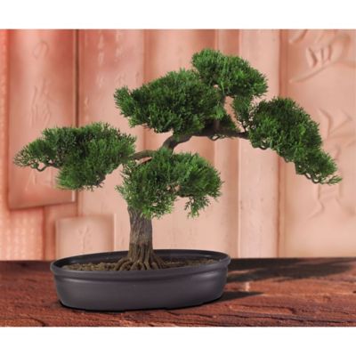 Image showing  16 in. Silk Cedar Bonsai Plant
