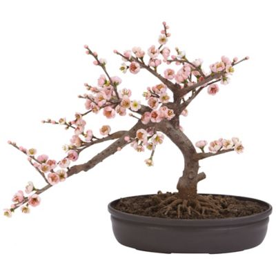 Nearly Natural 15 in. Silk Cherry Blossom Bonsai Tree