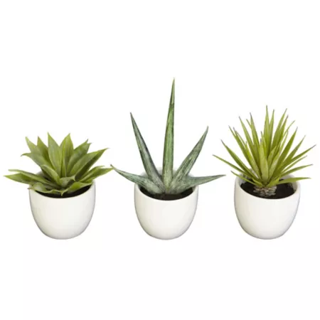 5.5" Almost Natural Southwestern Plant Collection Pack of 3 Artificial Plants & Flowers