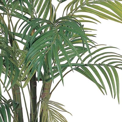 Image showing  4 ft. Areca Silk Palm Tree
