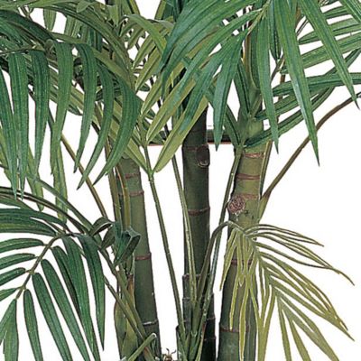 Image showing  4 ft. Areca Silk Palm Tree