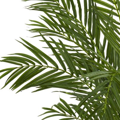 Image showing  4 ft. Areca Silk Palm Tree