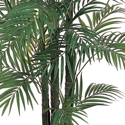 Image showing  6 ft. Areca Silk Palm Tree