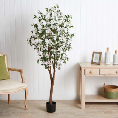 Image showing  5 ft. Dogwood Silk Tree