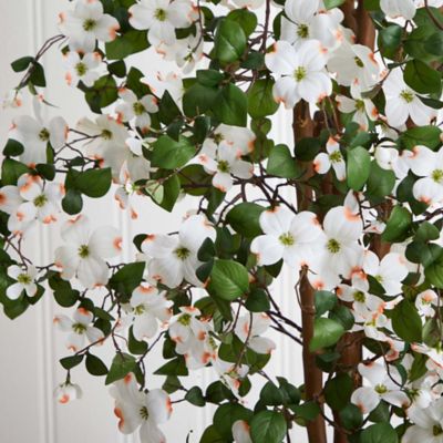 Image showing  5 ft. Dogwood Silk Tree