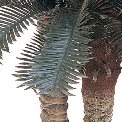 Image showing  6 ft. Sago Palm Double Potted Silk Tree