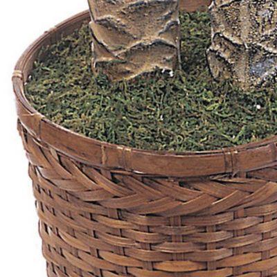 Image showing  6 ft. Sago Palm Double Potted Silk Tree