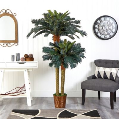 Image showing  6 ft. Sago Palm Double Potted Silk Tree