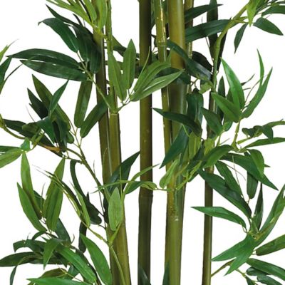 Image showing  4 ft. Bamboo Silk Plant