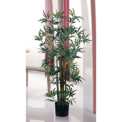 Image showing  4 ft. Bamboo Silk Plant