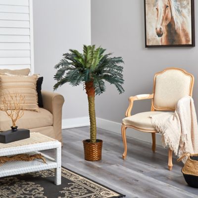 Image showing  4 ft. Sago Silk Palm Tree