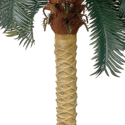 Image showing  6 ft. Sago Palm Silk Tree