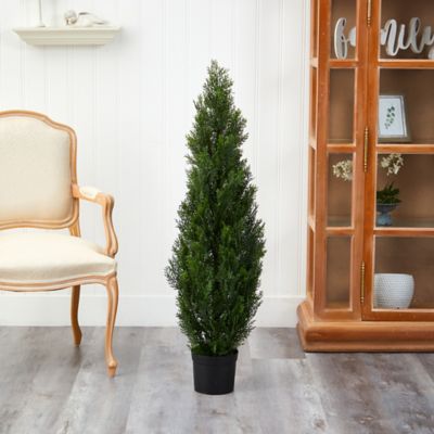 Image showing  4 ft. Cedar Silk Tree, Indoor/Outdoor