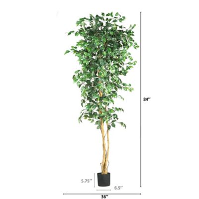 Image showing  7 ft. Artificial Ficus Silk Tree