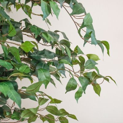 Image showing  7 ft. Artificial Ficus Silk Tree