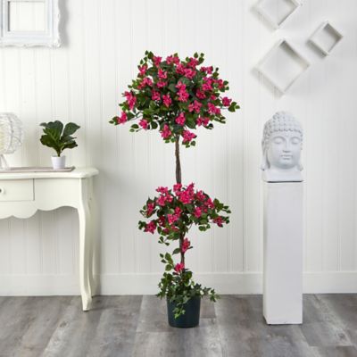 Image showing  5 ft. Mini Bougainvillea Topiary