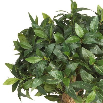 Image showing  4 ft. Sweet Bay Double Ball Topiary Silk Tree