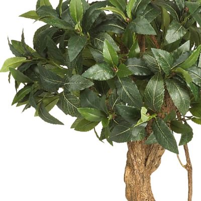 Image showing  4 ft. Sweet Bay Double Ball Topiary Silk Tree