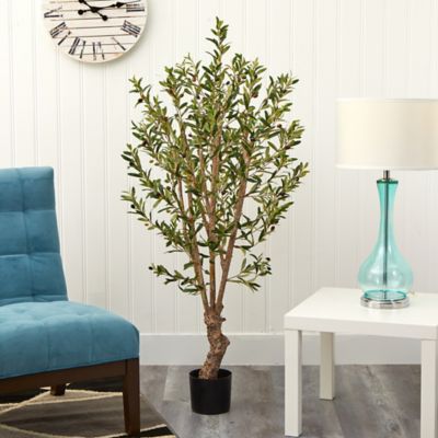 Image showing  5 ft. Olive Silk Tree