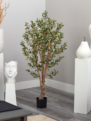 Image showing  5 ft. Olive Silk Tree