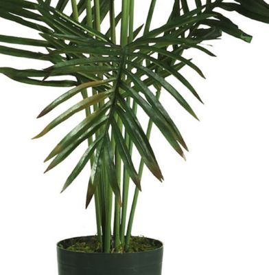Image showing  5 ft. Paradise Palm