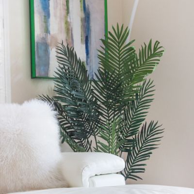 Image showing  5 ft. Paradise Palm