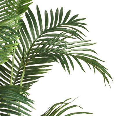 Image showing  6 ft. Paradise Palm