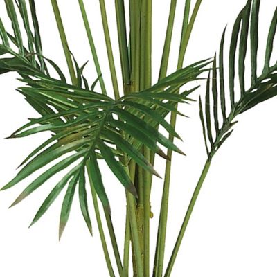 Image showing  7 ft. Paradise Palm