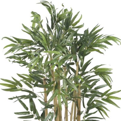 Image showing  3 ft. Silk Multi Bambusa Bamboo Tree