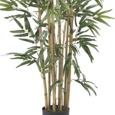 Image showing  3 ft. Silk Multi Bambusa Bamboo Tree