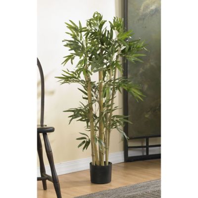 Image showing  3 ft. Silk Multi Bambusa Bamboo Tree
