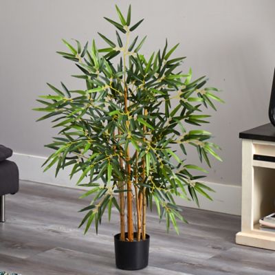 Image showing  3 ft. Silk Multi Bambusa Bamboo Tree