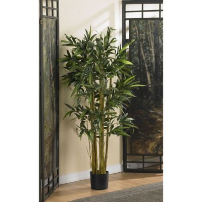 Image showing  4 ft. Biggy Bamboo Silk Tree