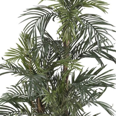 Image showing  5 ft. Robellini Palm Silk Tree