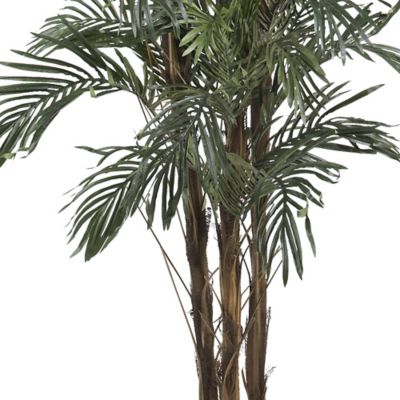 Image showing  5 ft. Robellini Palm Silk Tree