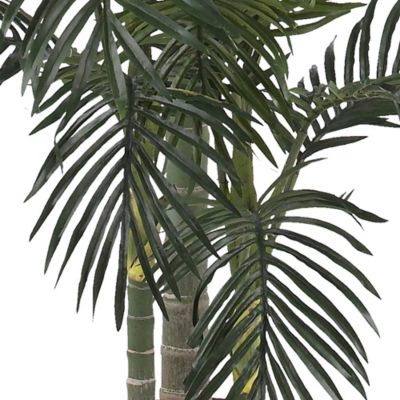 Image showing  7 ft. Golden Cane Palm Silk Tree