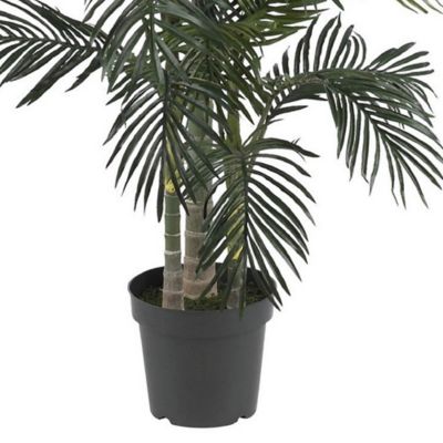 Image showing  7 ft. Golden Cane Palm Silk Tree