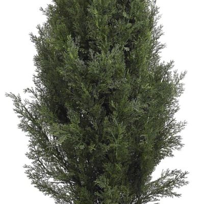Image showing  5 ft. Mini Cedar Pine Tree, Indoor/Outdoor