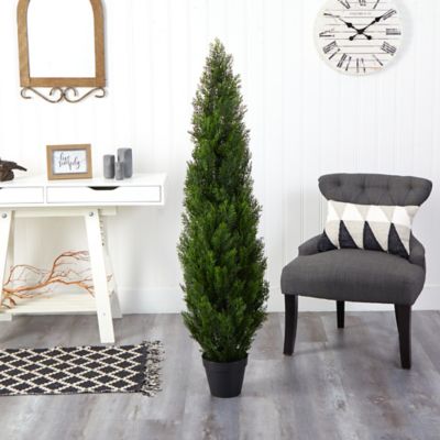 Image showing  5 ft. Mini Cedar Pine Tree, Indoor/Outdoor
