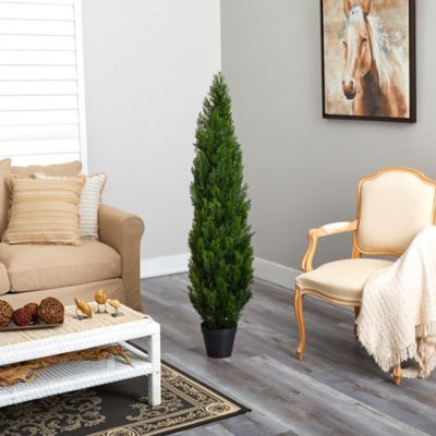 Image showing  5 ft. Mini Cedar Pine Tree, Indoor/Outdoor