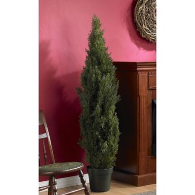 Image showing  5 ft. Mini Cedar Pine Tree, Indoor/Outdoor
